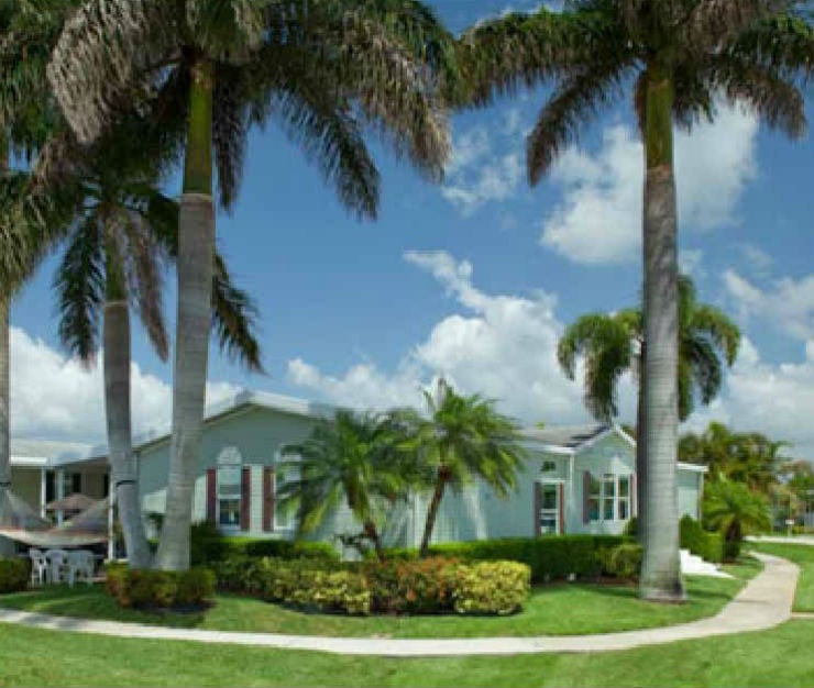 Green, luxurious manufactured home under tall palm trees